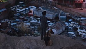 The Dog Thief's poster