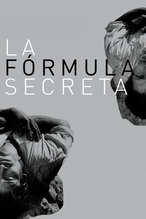 The Secret Formula's poster