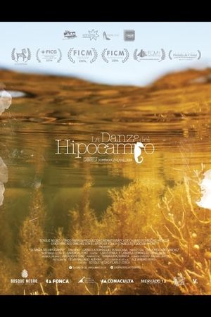 La danza del hipocampo's poster