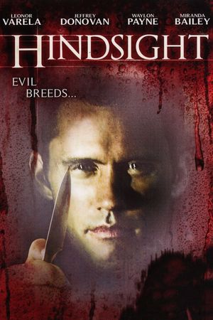 Hindsight's poster