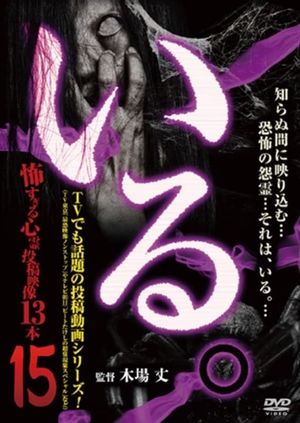 「Iru.」~ Kowasugiru Tōkō Eizō 13-hon ~ Vol.15's poster