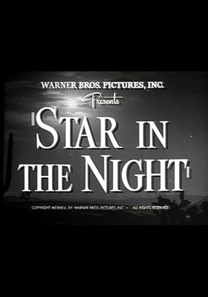 Star in the Night's poster
