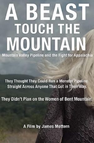 A Beast Touch the Mountain's poster