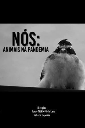 Nós: animais na pandemia's poster