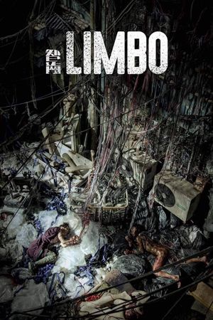 Limbo's poster