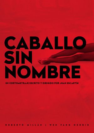 Caballo sin Nombre's poster