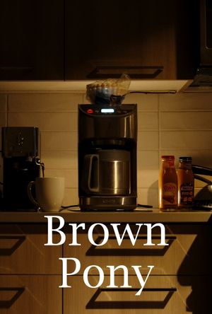 Brown Pony's poster
