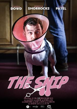 The Snip's poster