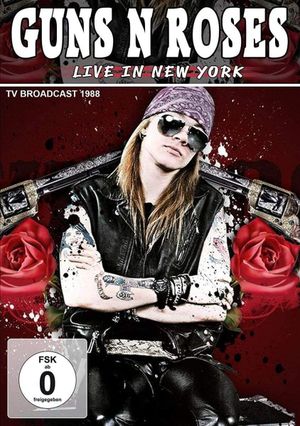 Guns N’ Roses: Live In New York 1991's poster