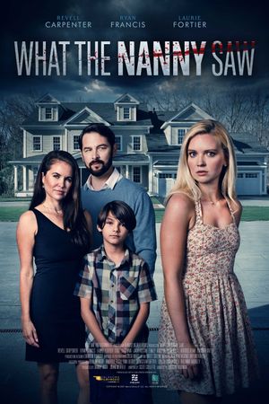 What The Nanny Saw's poster