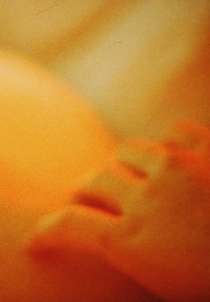 landscape's poster