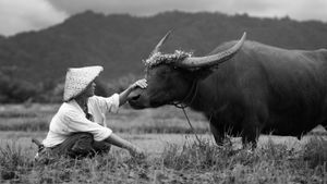 Animal Lovers's poster