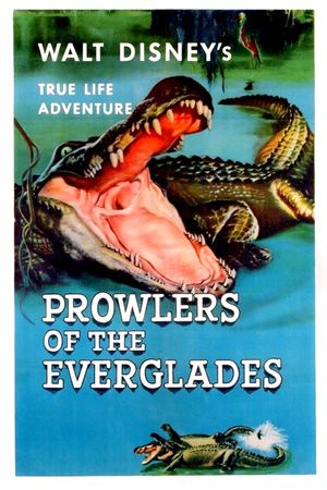 Prowlers of the Everglades's poster