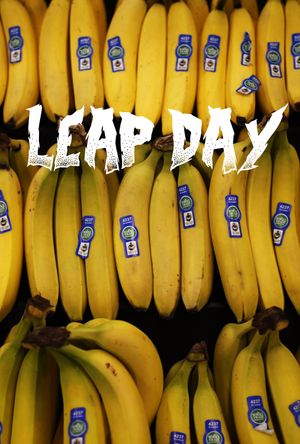 Leap Day's poster