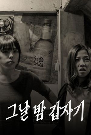 One Night, Suddenly's poster