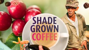 Shade Grown Coffee's poster