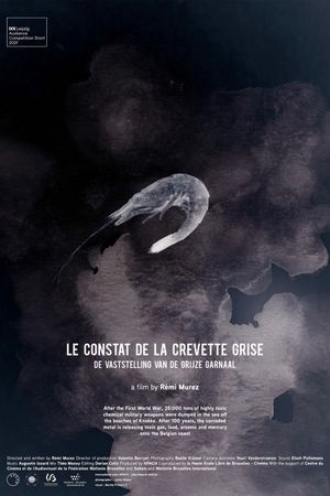 The Gray Shrimp Report's poster