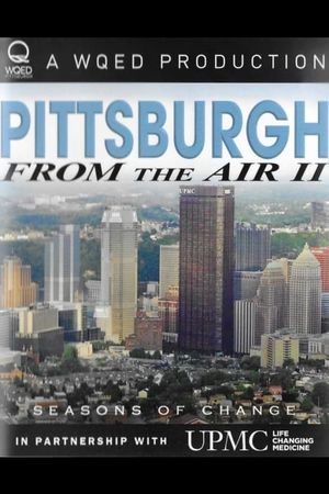 Pittsburgh From the Air II's poster