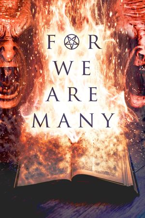 For We Are Many's poster image