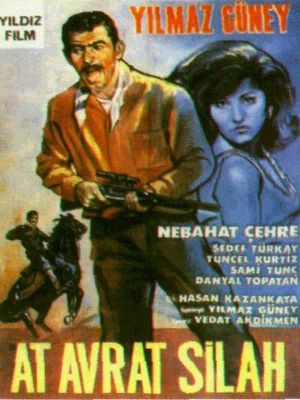 Horse, Woman and Gun's poster image