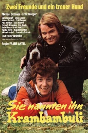 Was geschah auf Schloß Wildberg's poster