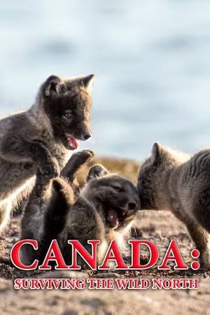 Canada: Surviving the Wild North's poster