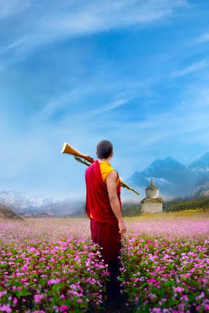 The Monk and the Gun's poster