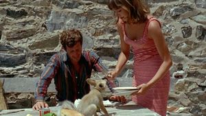 Pierrot le Fou's poster