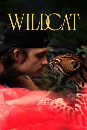 Wildcat's poster