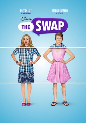 The Swap's poster