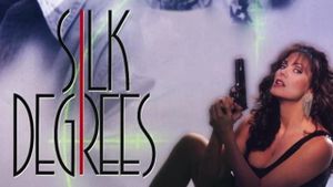 Silk Degrees's poster