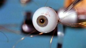 Spy in Your Eye's poster