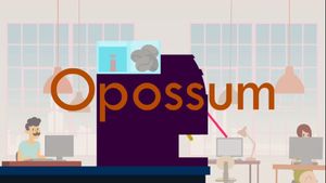 Opossum's poster