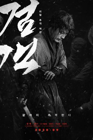 The Swordsman's poster