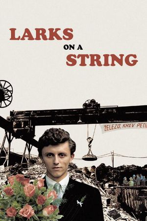 Larks on a String's poster