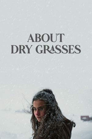 About Dry Grasses's poster