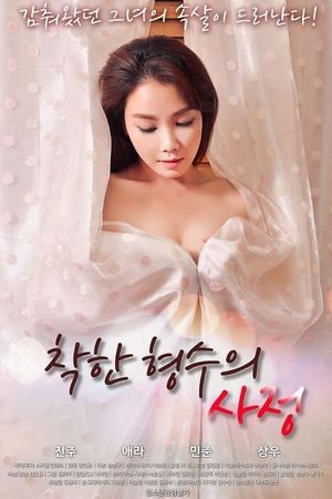 착한형수의사정's poster