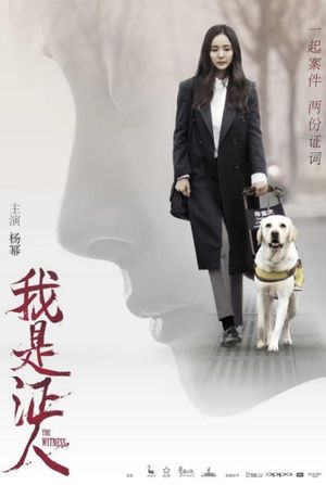 The Witness's poster