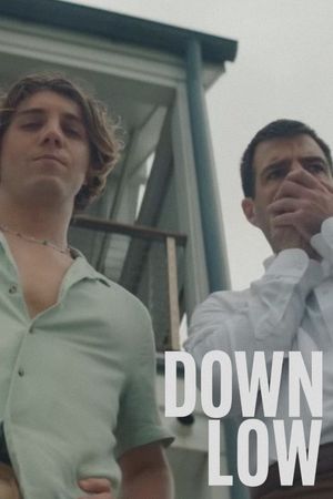 Down Low's poster