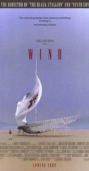 Wind's poster