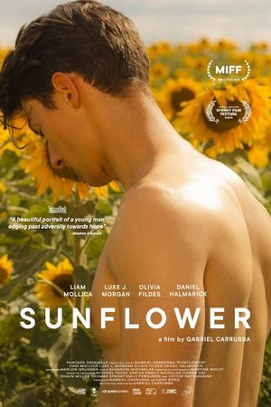 Sunflower's poster