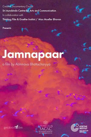 Jamnapaar's poster