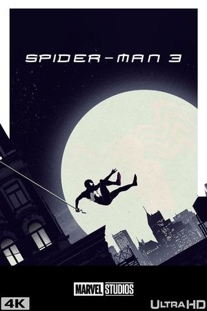 Spider-Man 3's poster