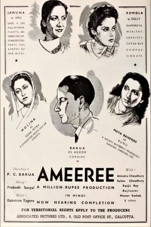 Ameeree's poster