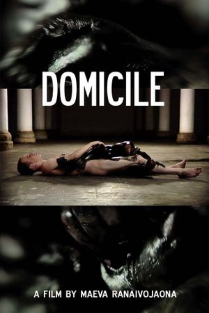 Domicile's poster