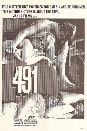 491's poster