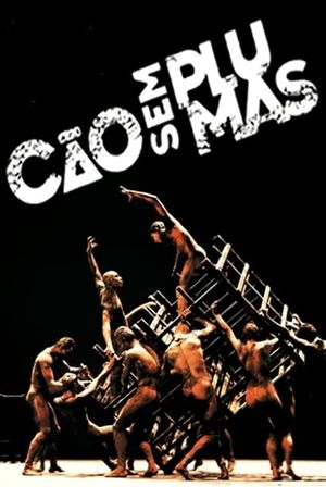 Cão sem Plumas's poster image