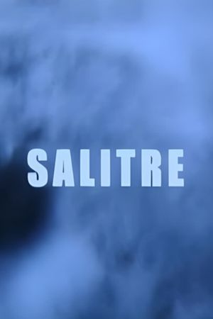 Salitre's poster
