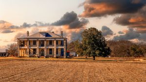 The Legacy of the Texas Chain Saw Massacre's poster