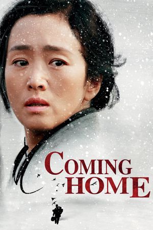 Coming Home's poster